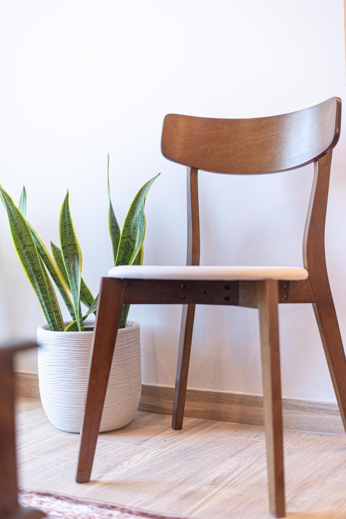 Kanela Apartament *